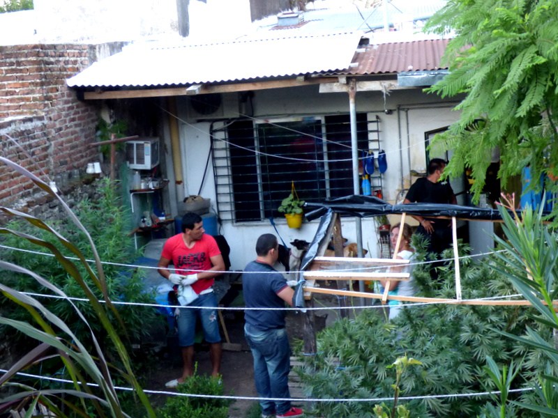 El Diario de San Pedro | Noticias locales y regionales