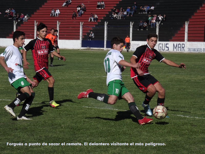 El Diario de San Pedro | Noticias locales y regionales