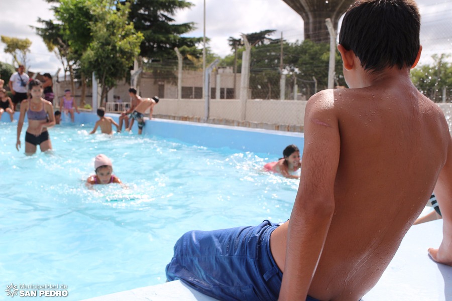 El Diario de San Pedro | Noticias locales y regionales