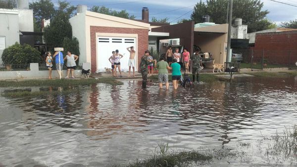 El Diario de San Pedro | Noticias locales y regionales