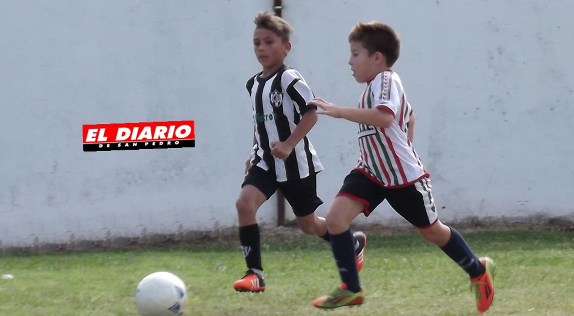 El Diario de San Pedro | Noticias locales y regionales