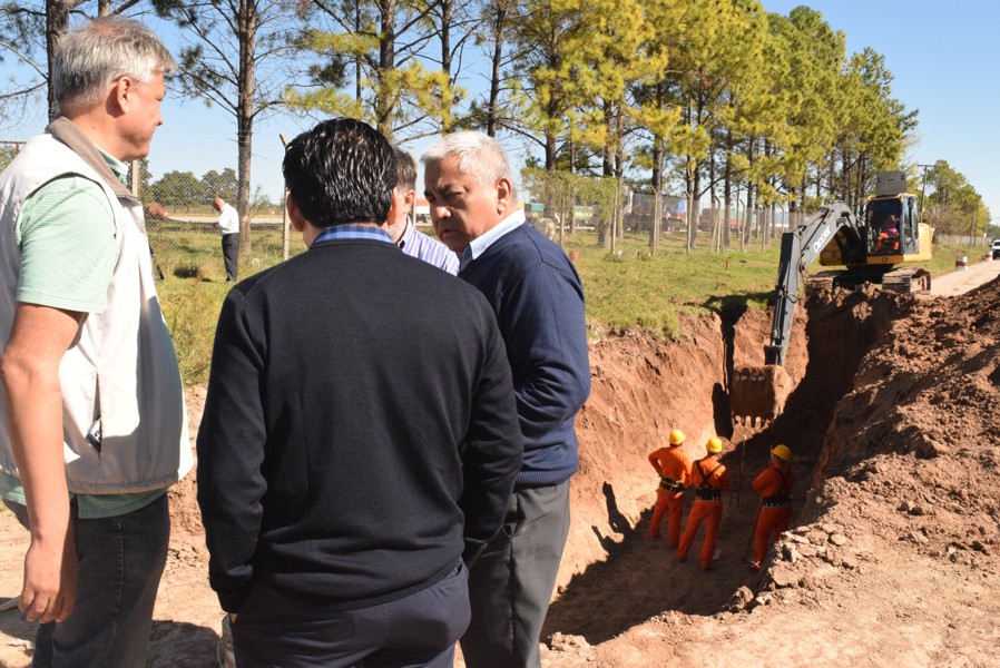El Diario de San Pedro | Noticias locales y regionales