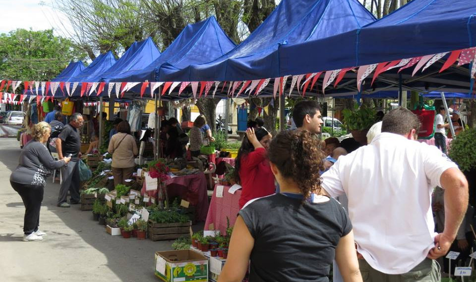 El Diario de San Pedro | Noticias locales y regionales