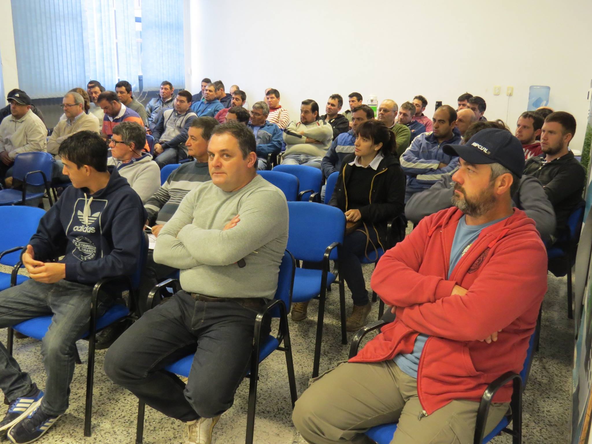 El Diario de San Pedro | Noticias locales y regionales