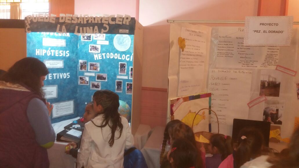 El Diario de San Pedro | Noticias locales y regionales