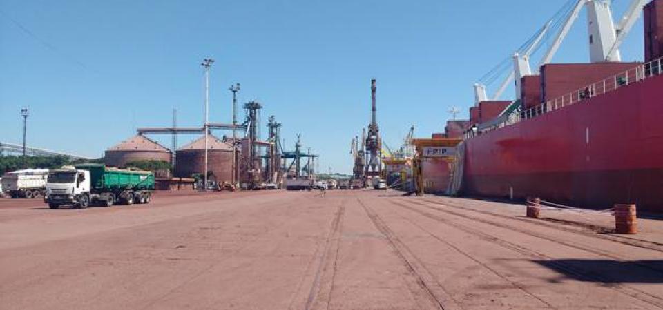 El Diario de San Pedro | Noticias locales y regionales