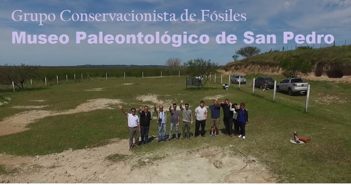 El Diario de San Pedro | Noticias locales y regionales