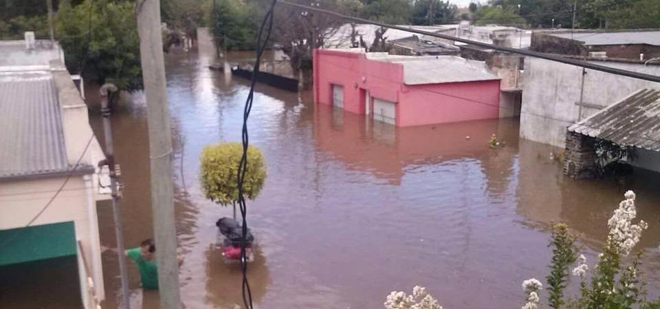 El Diario de San Pedro | Noticias locales y regionales