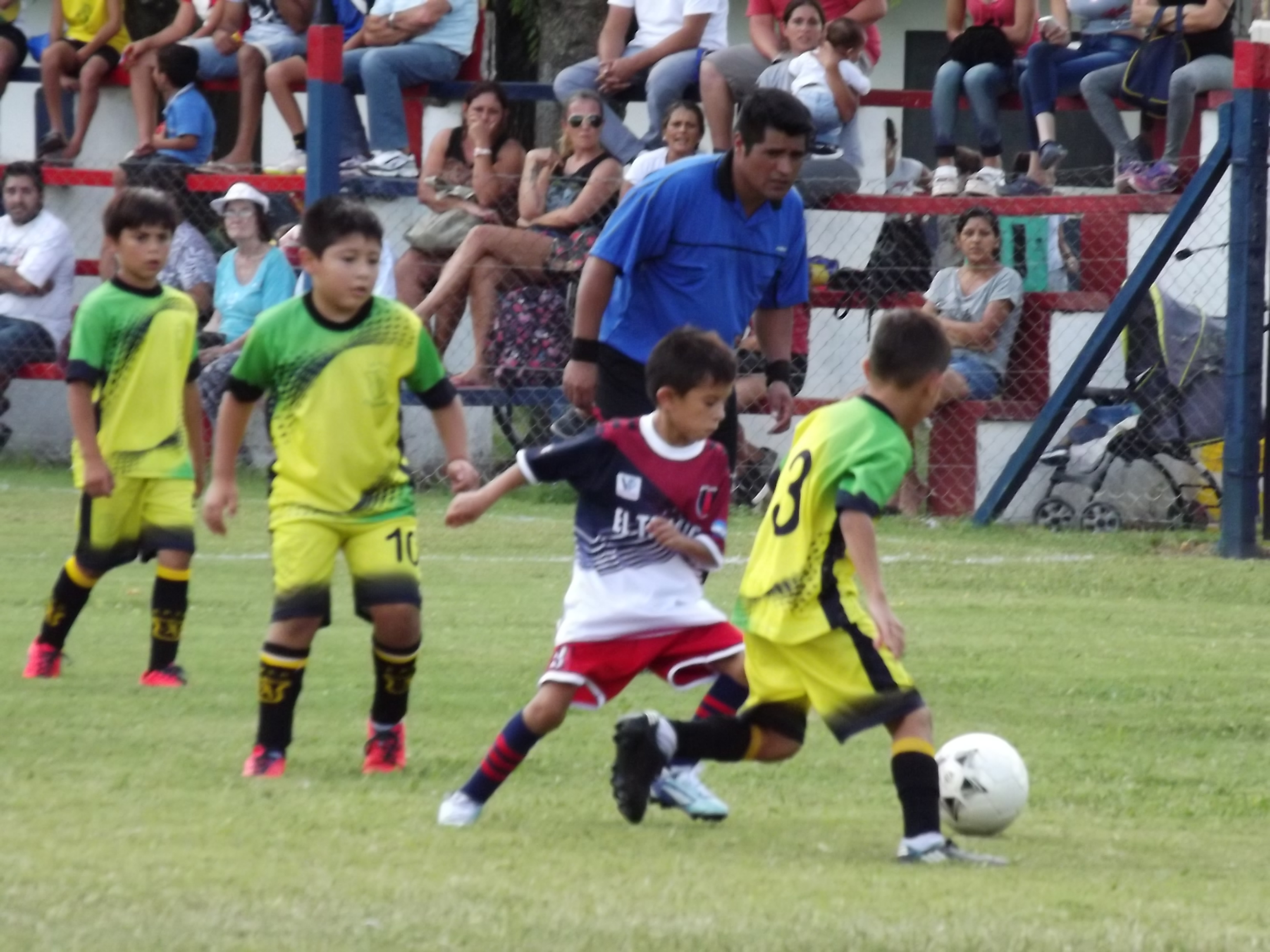 El Diario de San Pedro | Noticias locales y regionales