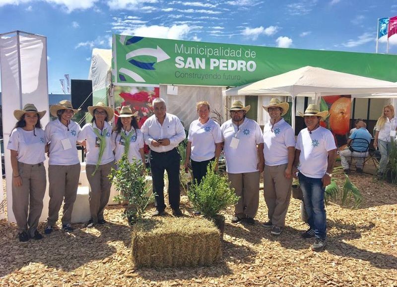 El Diario de San Pedro | Noticias locales y regionales