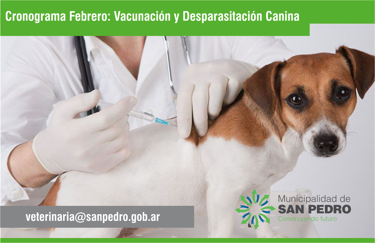 El Diario de San Pedro | Noticias locales y regionales