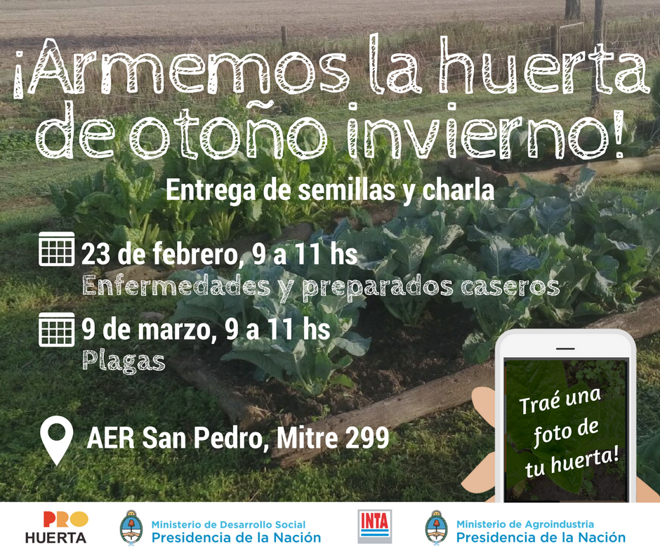 El Diario de San Pedro | Noticias locales y regionales