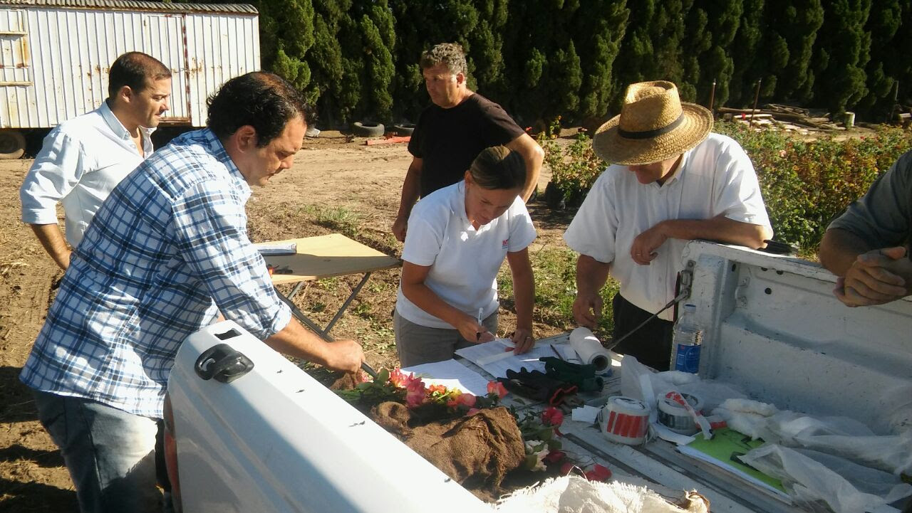 El Diario de San Pedro | Noticias locales y regionales