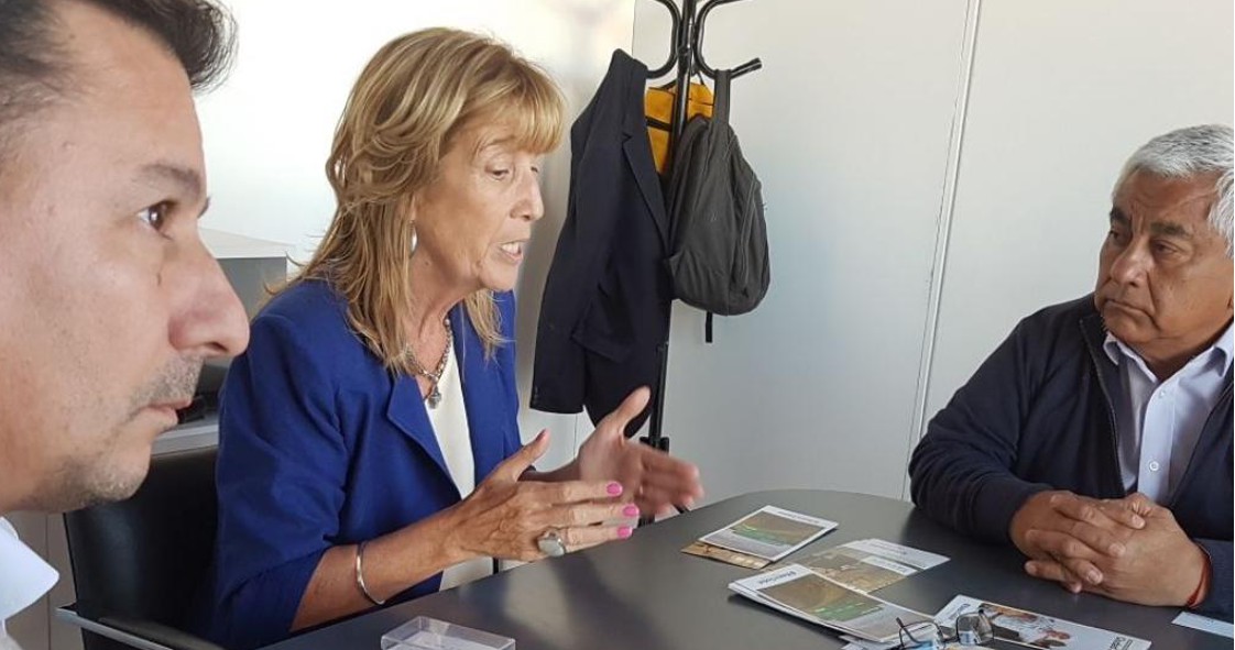 El Diario de San Pedro | Noticias locales y regionales