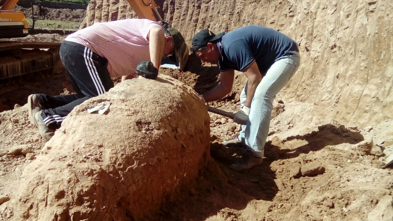 El Diario de San Pedro | Noticias locales y regionales