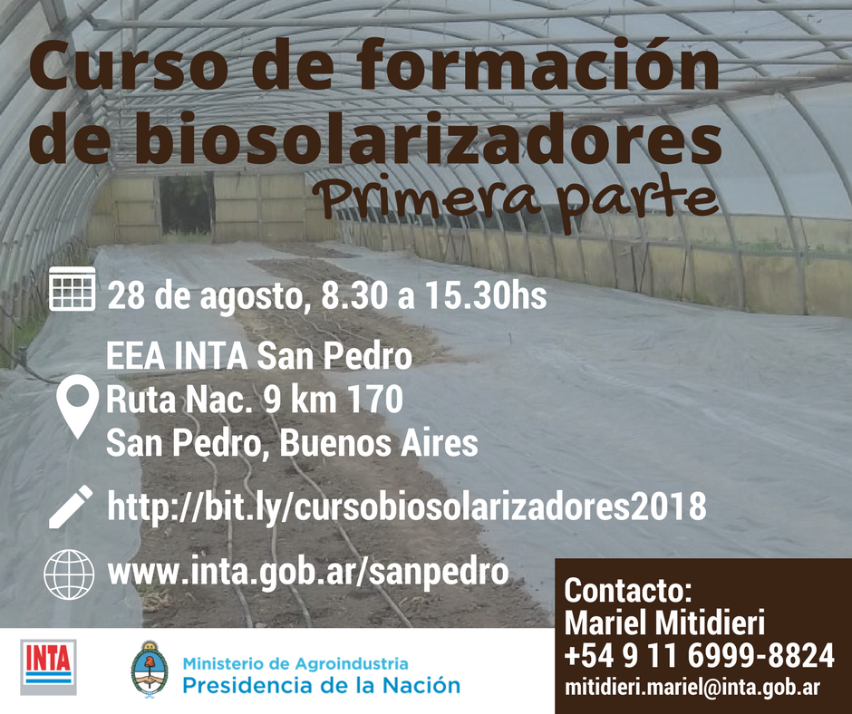 El Diario de San Pedro | Noticias locales y regionales