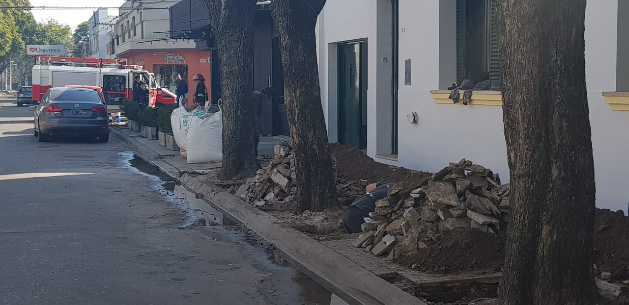 El Diario de San Pedro | Noticias locales y regionales