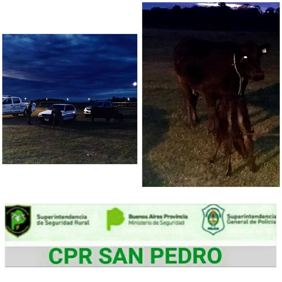 El Diario de San Pedro | Noticias locales y regionales