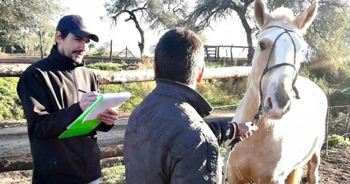 El Diario de San Pedro | Noticias locales y regionales