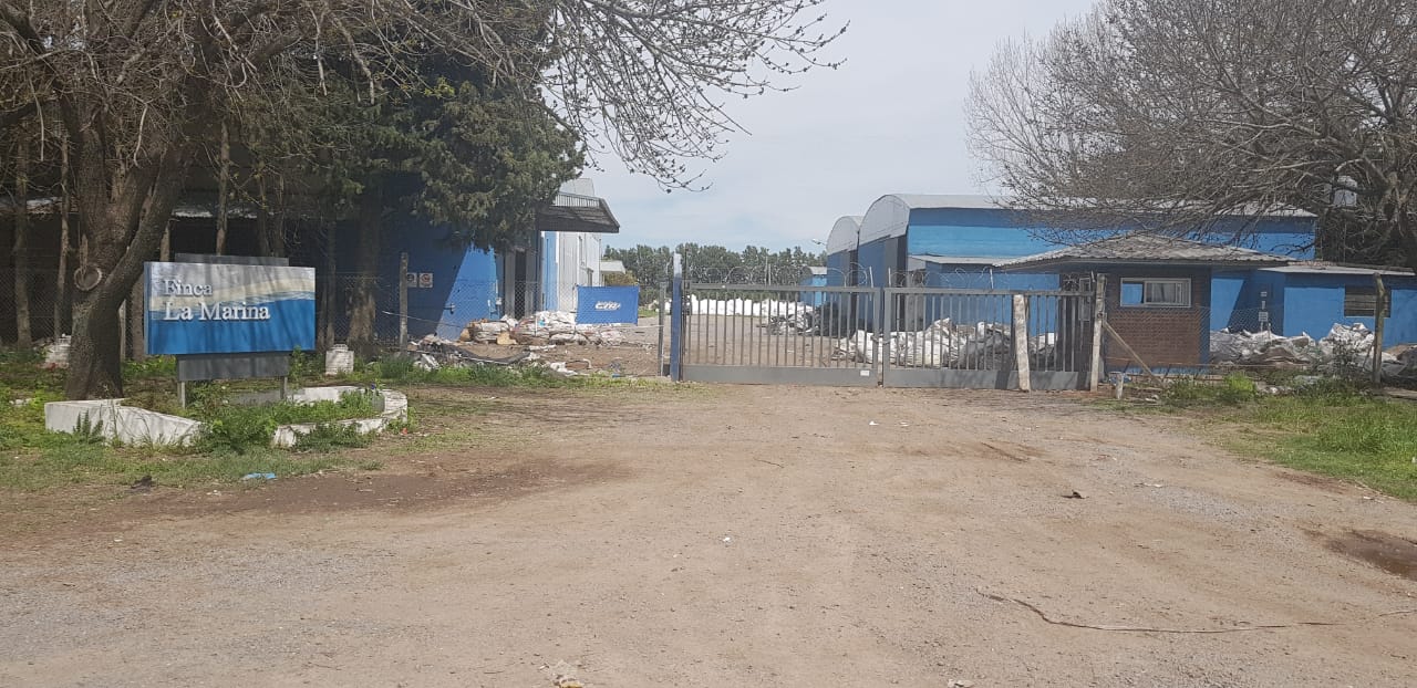 El Diario de San Pedro | Noticias locales y regionales