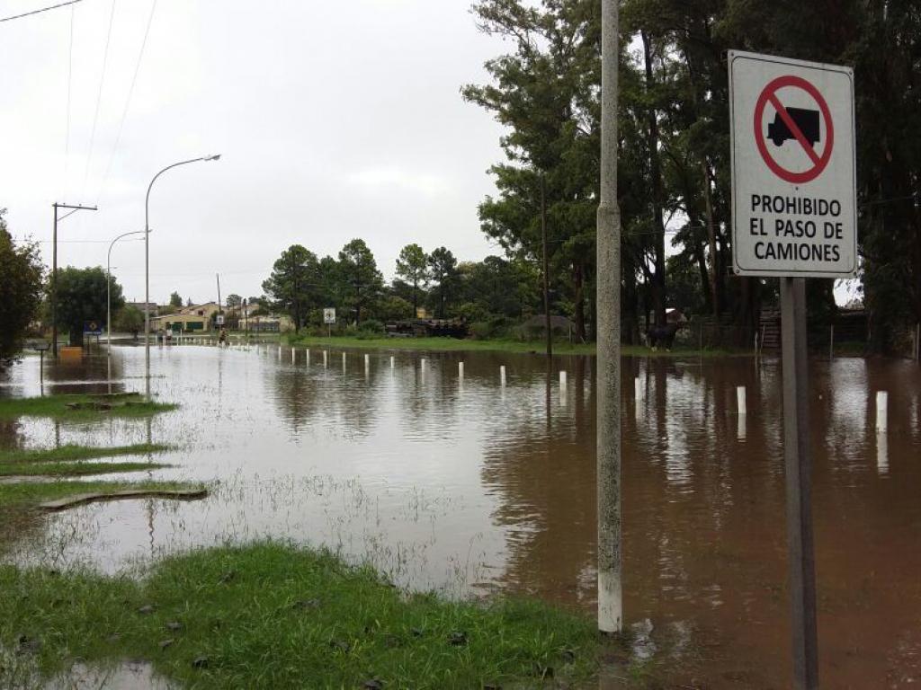 El Diario de San Pedro | Noticias locales y regionales