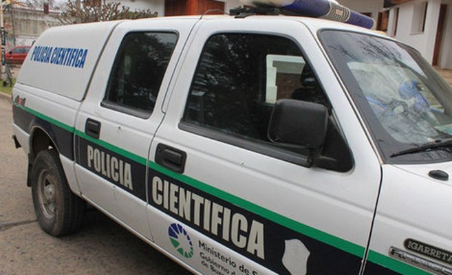 El Diario de San Pedro | Noticias locales y regionales