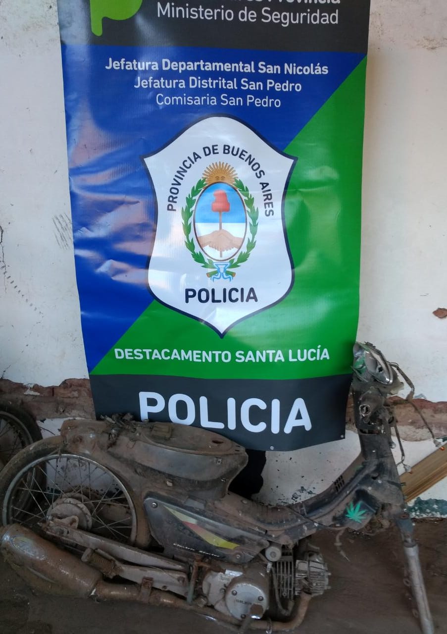 El Diario de San Pedro | Noticias locales y regionales
