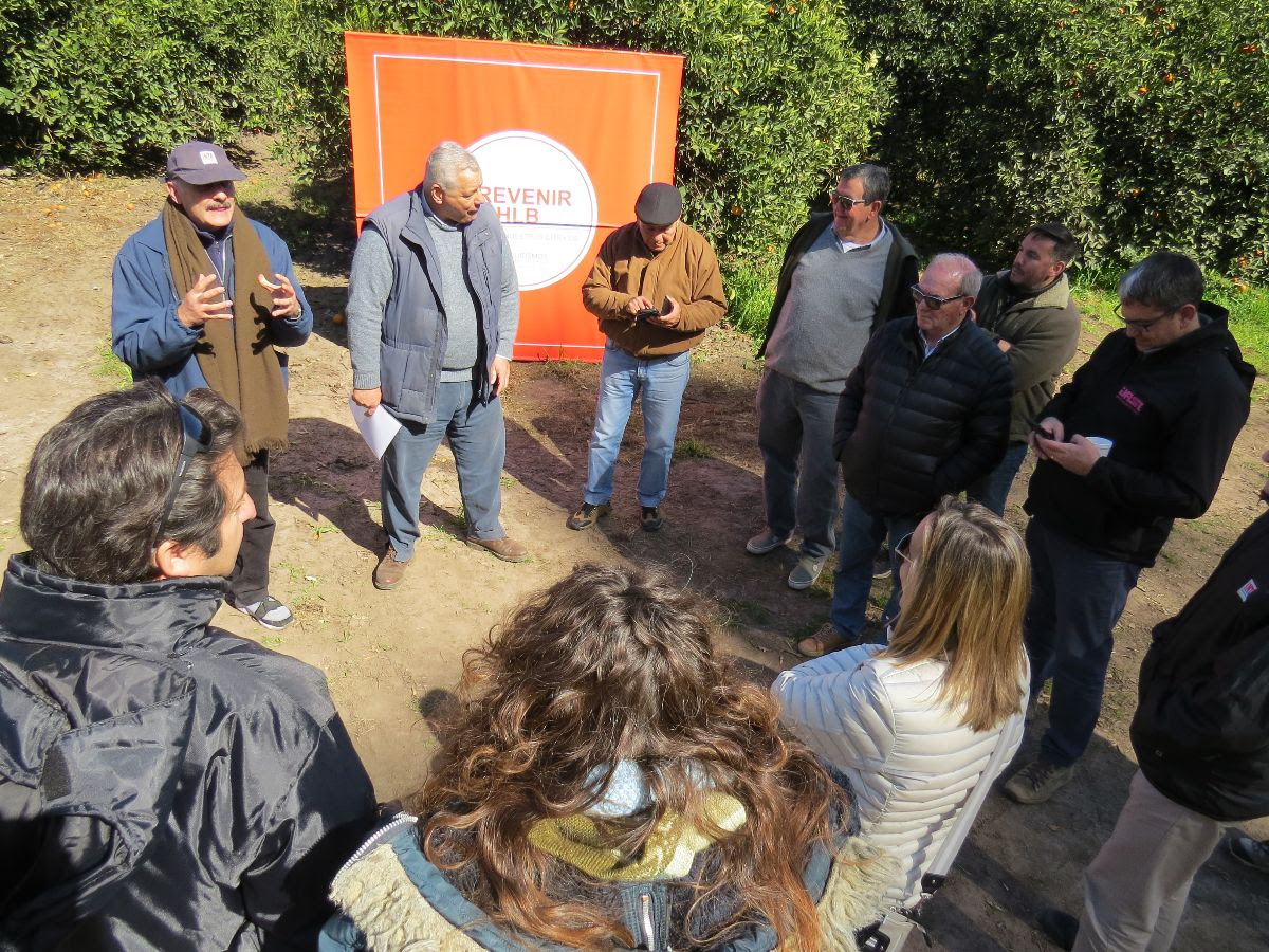 El Diario de San Pedro | Noticias locales y regionales
