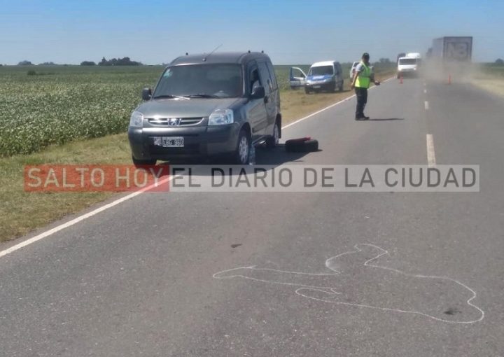El Diario de San Pedro | Noticias locales y regionales