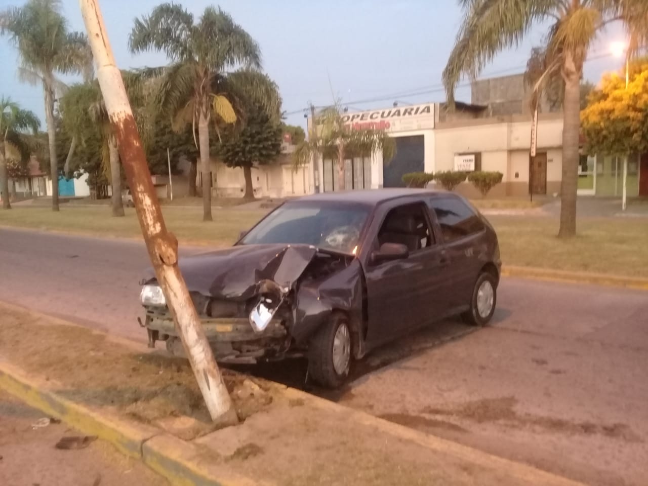 El Diario de San Pedro | Noticias locales y regionales