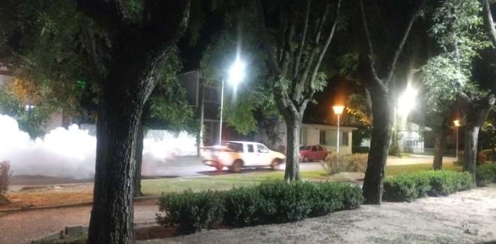 El Diario de San Pedro | Noticias locales y regionales