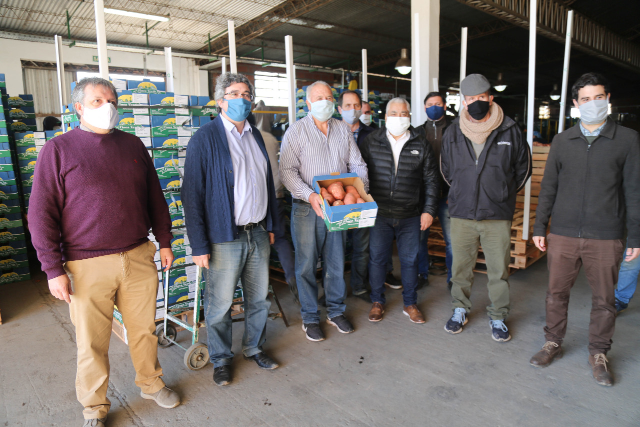 El Diario de San Pedro | Noticias locales y regionales