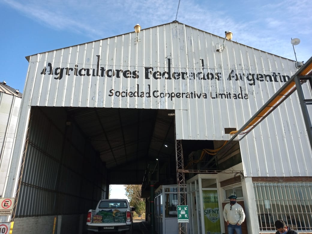 El Diario de San Pedro | Noticias locales y regionales