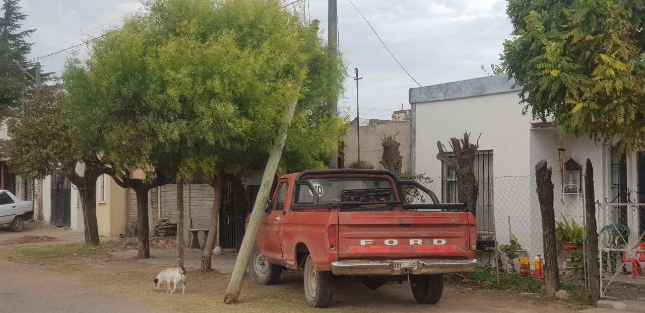 El Diario de San Pedro | Noticias locales y regionales