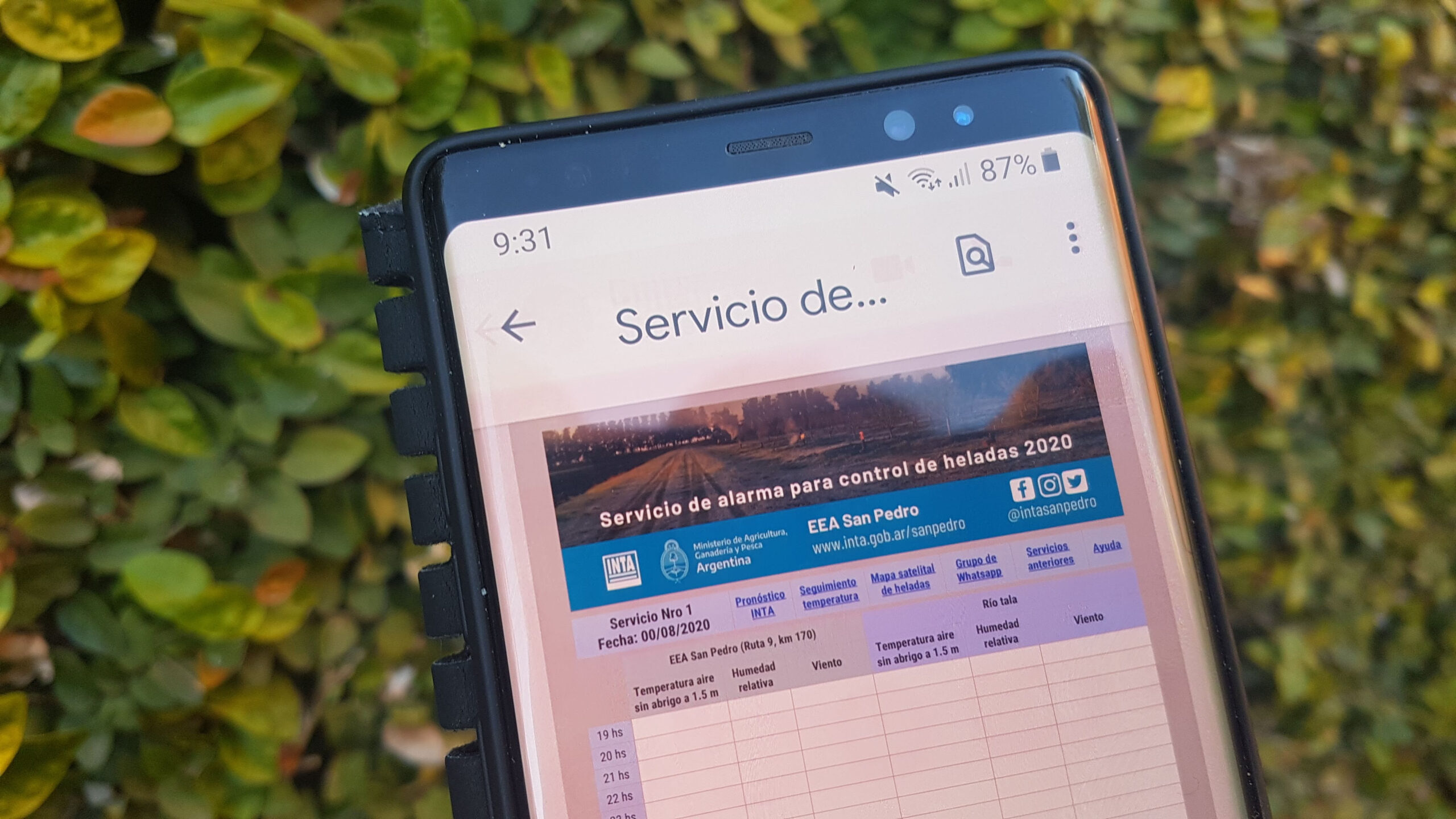 El Diario de San Pedro | Noticias locales y regionales