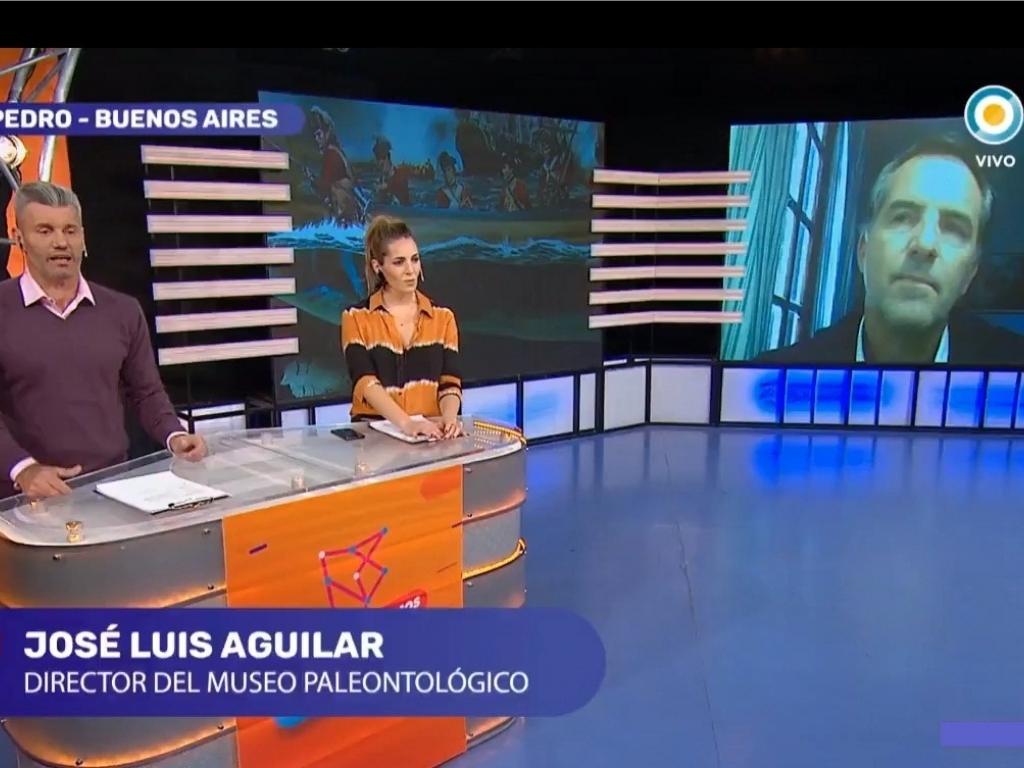 El Diario de San Pedro | Noticias locales y regionales
