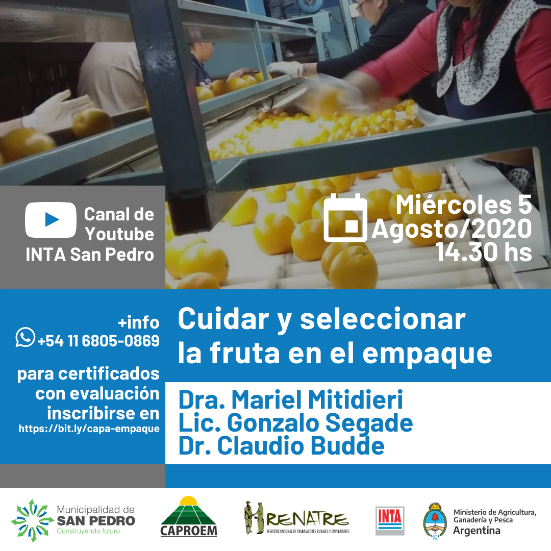 El Diario de San Pedro | Noticias locales y regionales