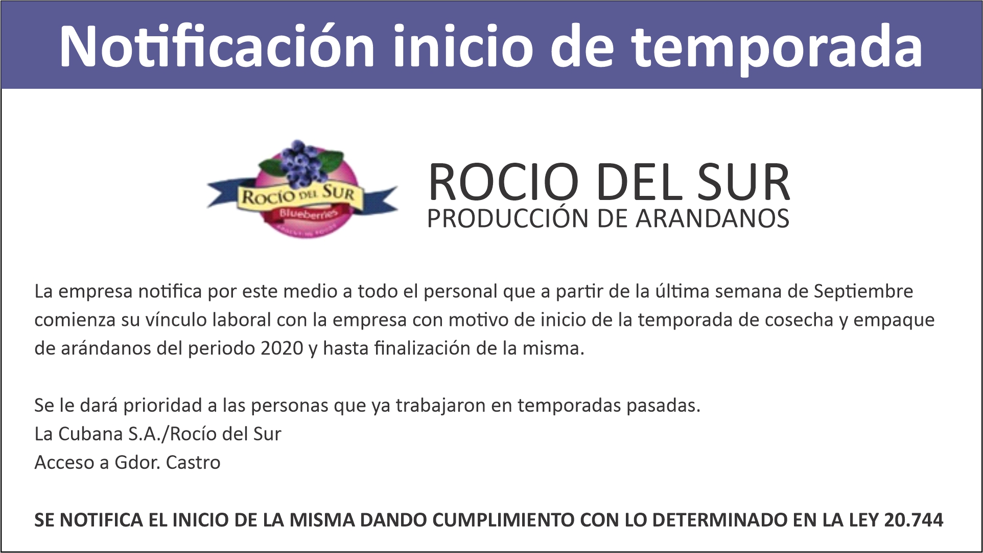 El Diario de San Pedro | Noticias locales y regionales
