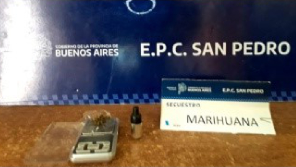 El Diario de San Pedro | Noticias locales y regionales