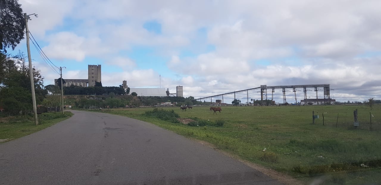 El Diario de San Pedro | Noticias locales y regionales