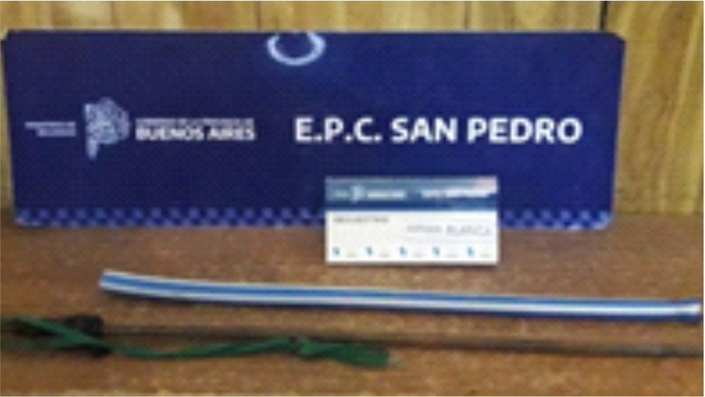 El Diario de San Pedro | Noticias locales y regionales