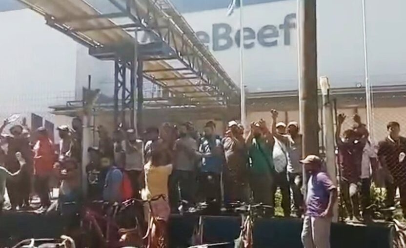 El Diario de San Pedro | Noticias locales y regionales