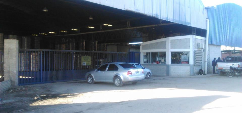 El Diario de San Pedro | Noticias locales y regionales