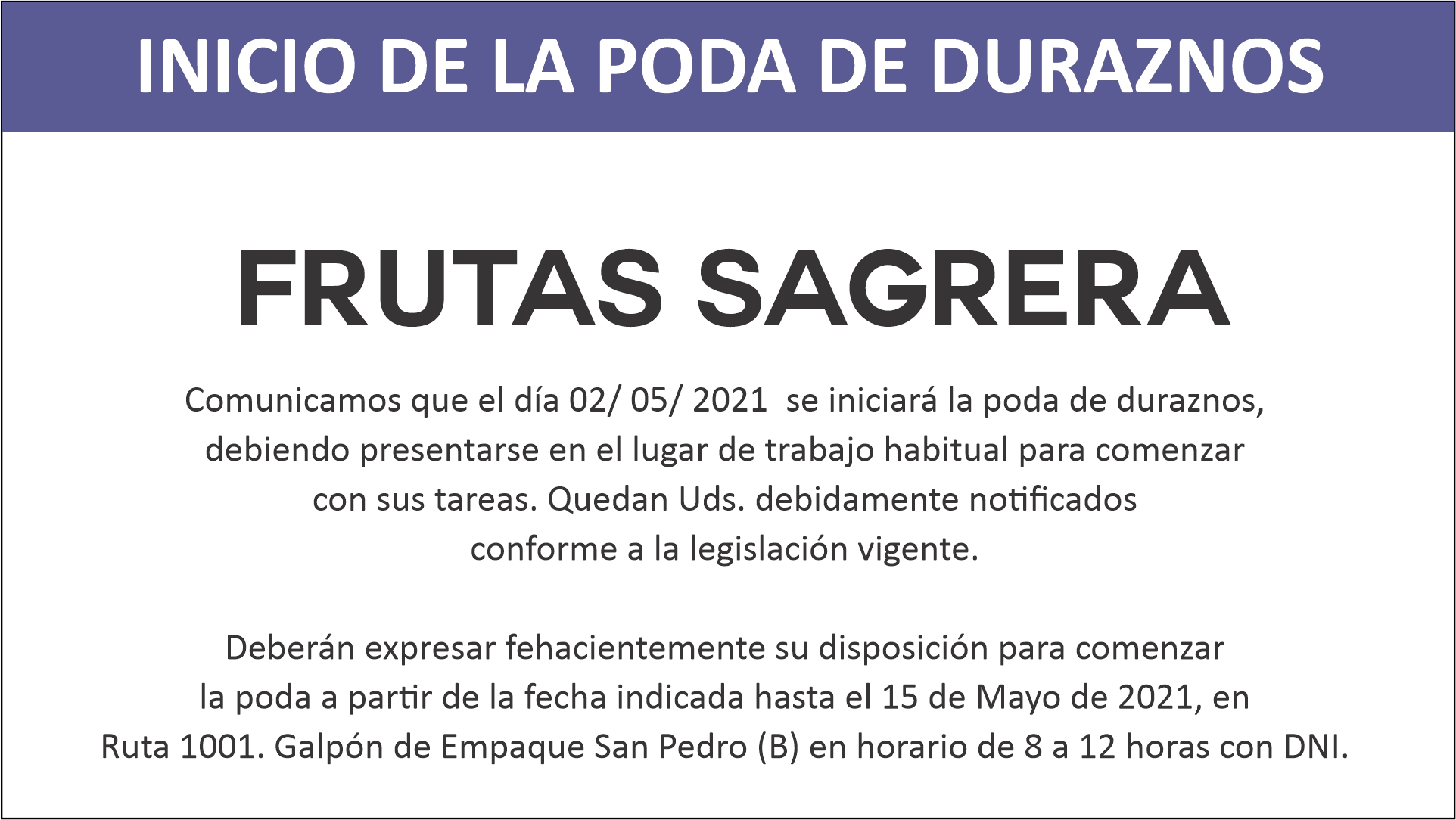 El Diario de San Pedro | Noticias locales y regionales
