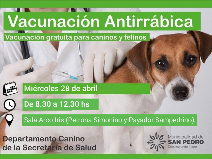 El Diario de San Pedro | Noticias locales y regionales