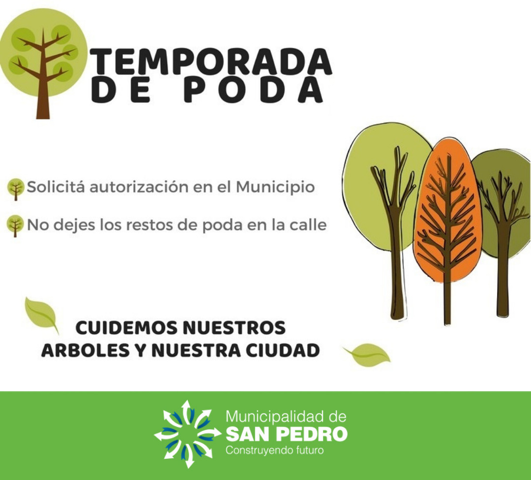 El Diario de San Pedro | Noticias locales y regionales