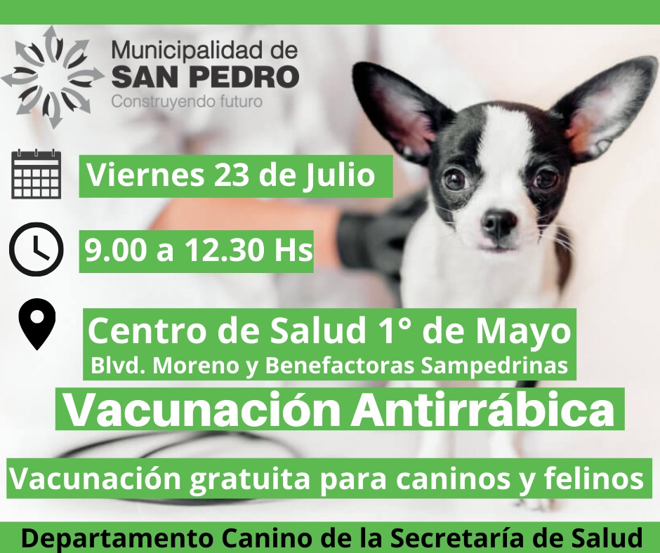 El Diario de San Pedro | Noticias locales y regionales