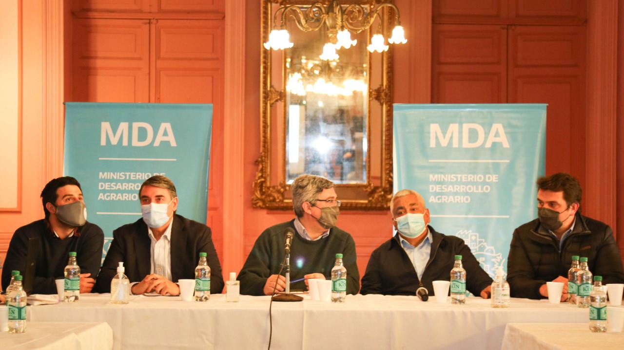 El Diario de San Pedro | Noticias locales y regionales