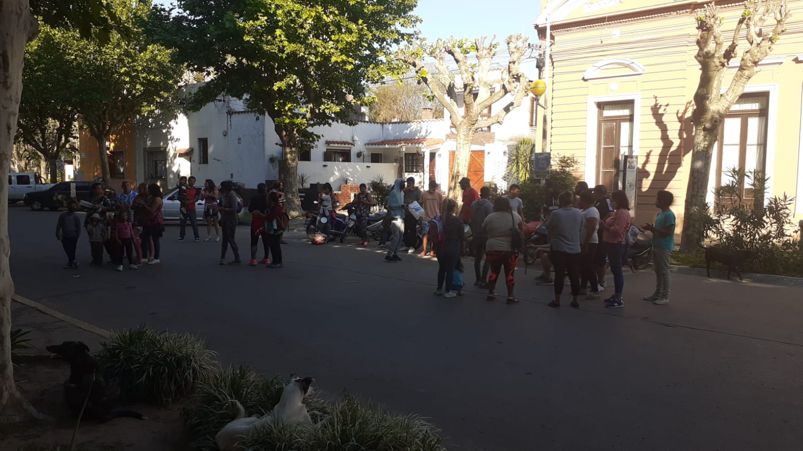 El Diario de San Pedro | Noticias locales y regionales