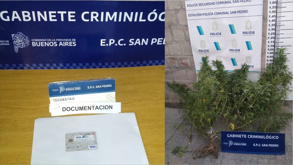 El Diario de San Pedro | Noticias locales y regionales